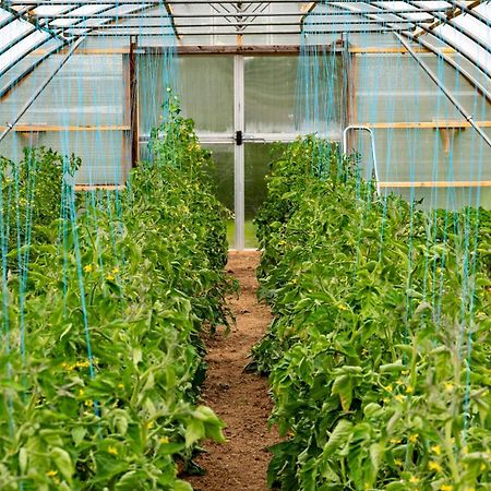 Mothir Joerth Organic Farm Guesthouse In Vallanes Bagian luar foto
